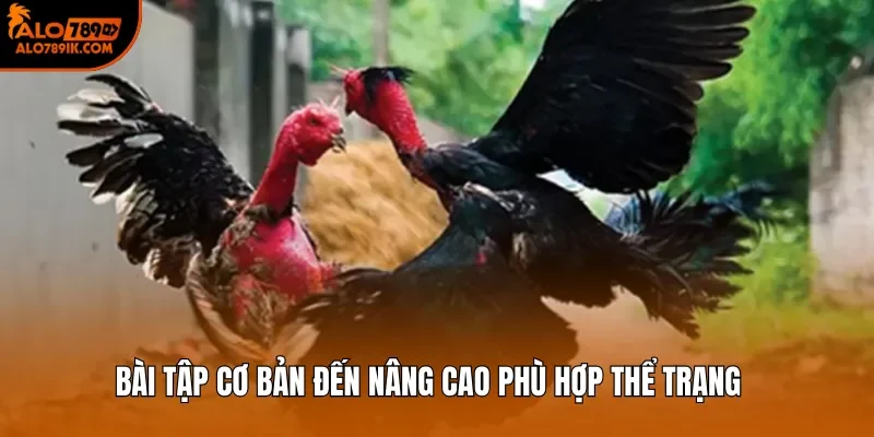 Bài tập cơ bản đến nâng cao phù hợp thể trạng