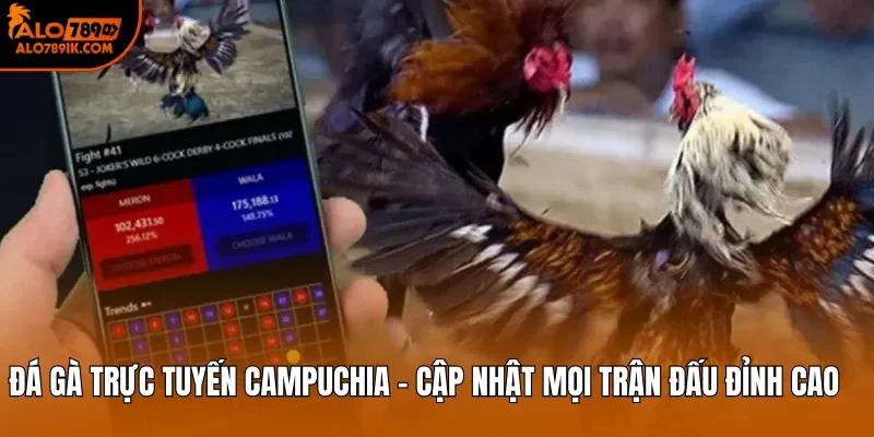 Đá Gà Trực Tuyến Campuchia