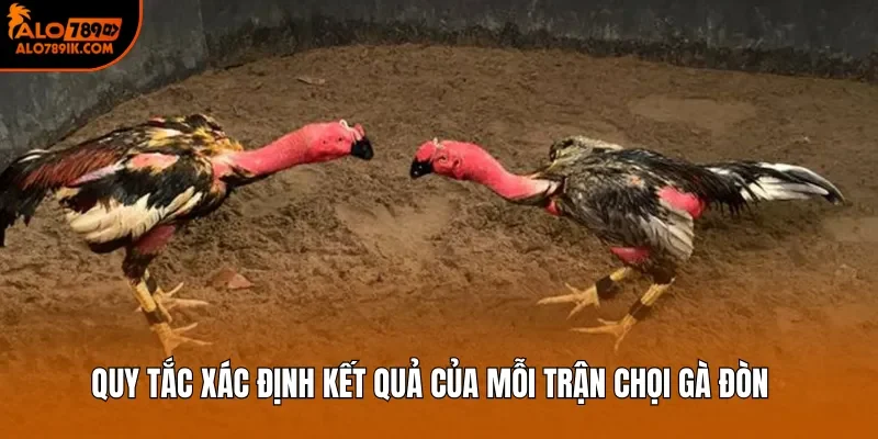 Quy tắc xác định kết quả của mỗi trận chọi gà đòn