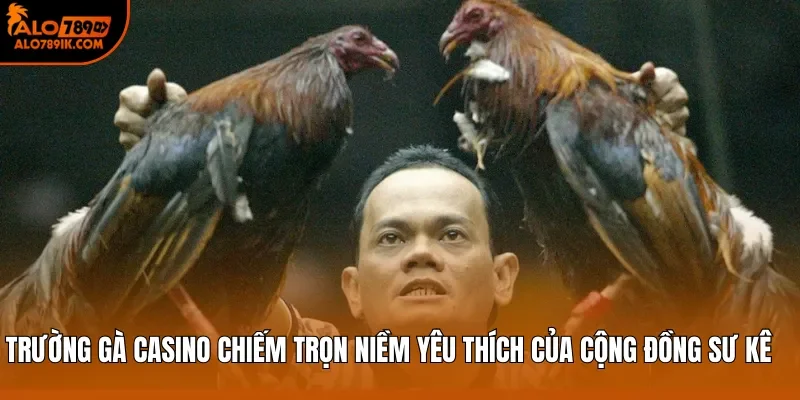 Trường gà casino chiếm trọn niềm yêu thích của cộng đồng sư kê 